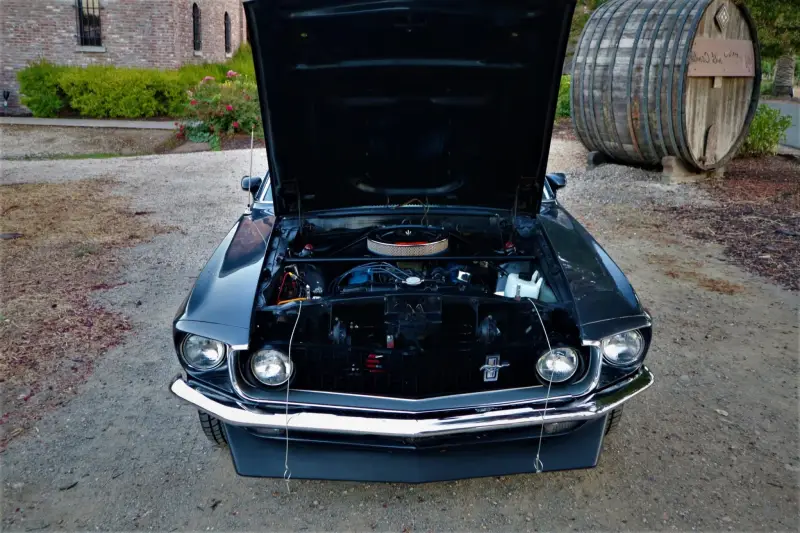 1969 Ford Mustang Mach 1 photo 25