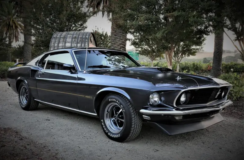 1969 Ford Mustang Mach 1 photo 10