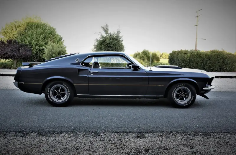 1969 Ford Mustang Mach 1 photo 9